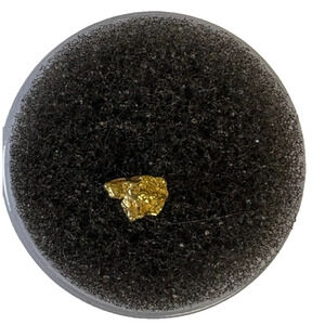 Natural Alaskan Gold Nugget Raw Hand Picked .291 grams Specimen Collectible